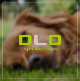 Dog Life Design company